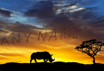 Personalised Image -  Rhino Sunset image