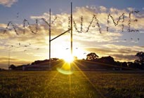 Personalised Image - Birds over Rugby Field image